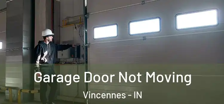  Garage Door Not Moving Vincennes - IN