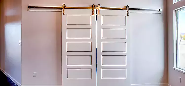 Glass Barn Door with Installation Hardware Kit Vincennes