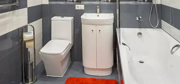 Hansgrohe Shaving Mirror Vincennes